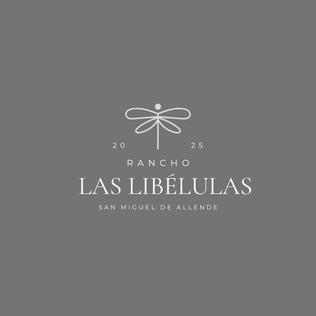 grey luxury dragonfly line art accessories logo