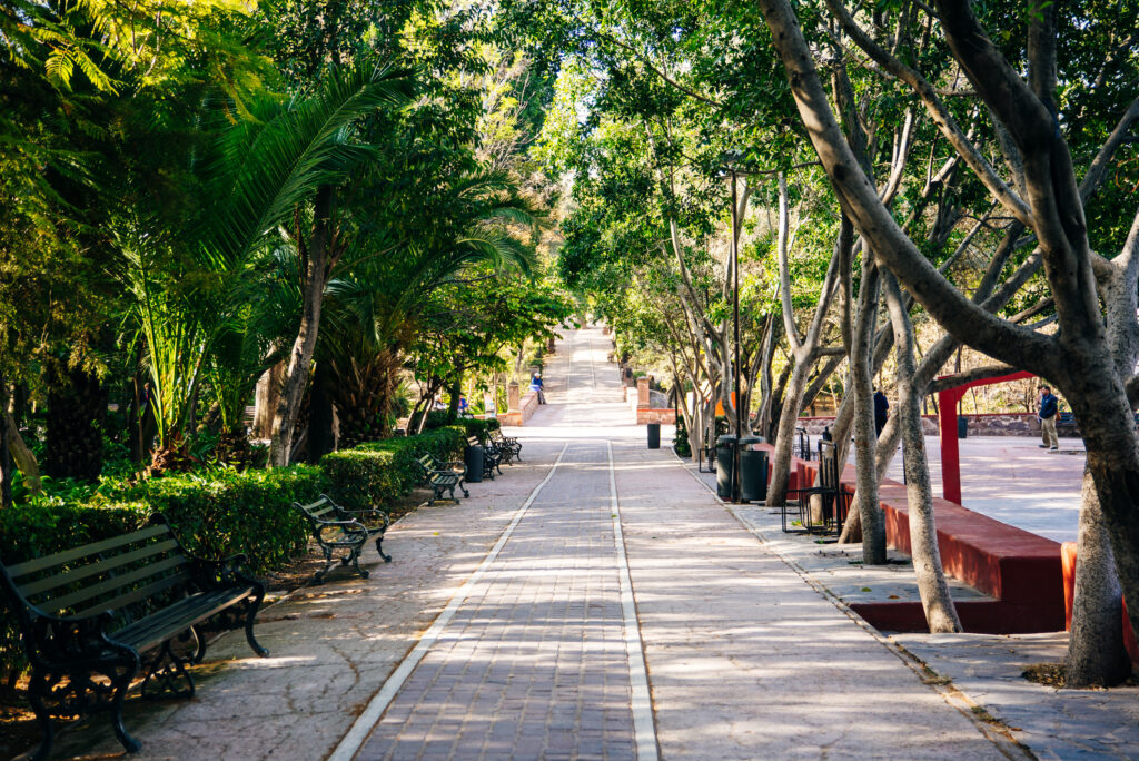 park in san miguel de allende, guanajuato, mexico.