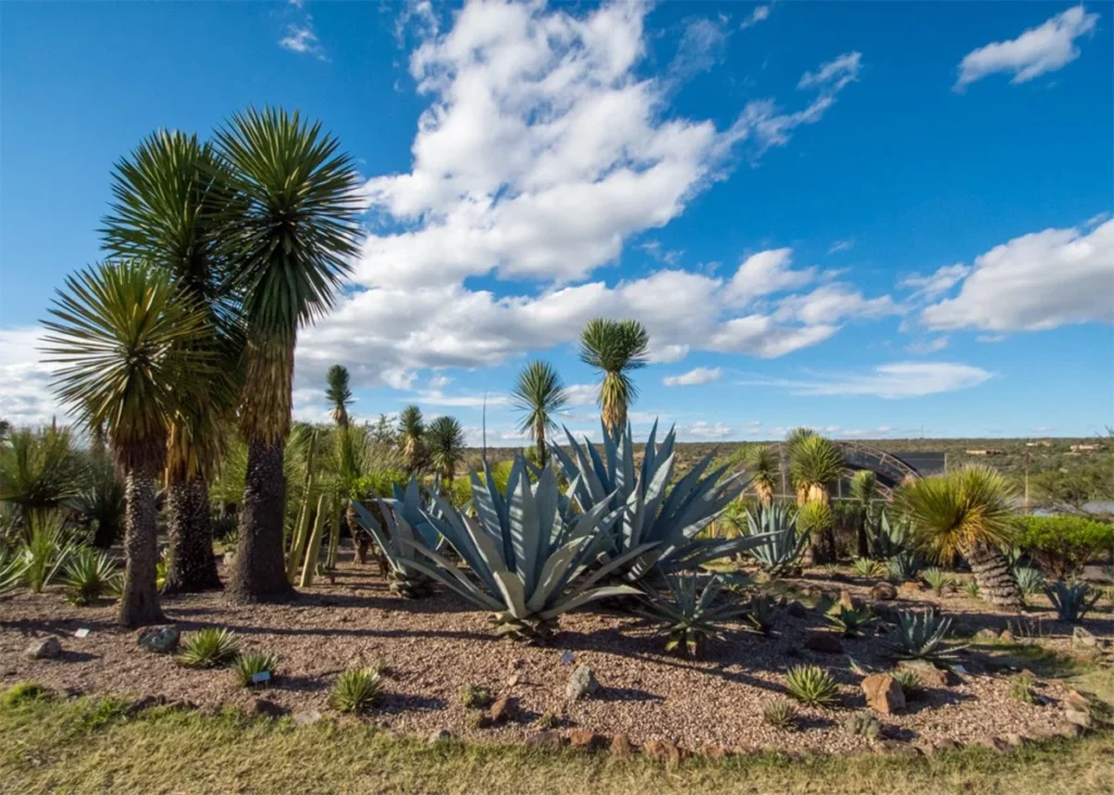 el charco del ingenio san miguel 4 1