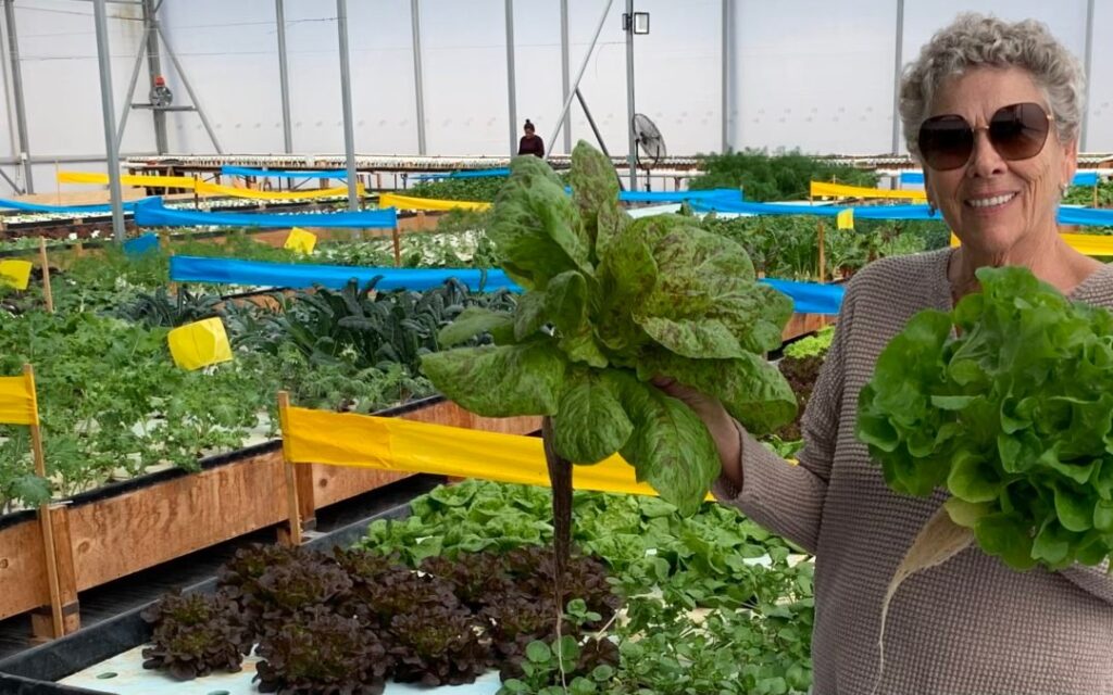 aea175c2 6a7e 43cb b6cf 0916344e6359 1080x675